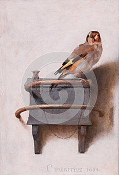 The Goldfinch, Carel Fabritius photo
